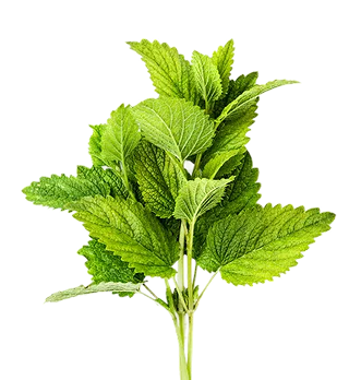ingredient image